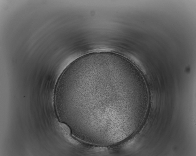 X0000089971186200707061154