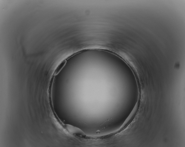 X0000089971189200707061154