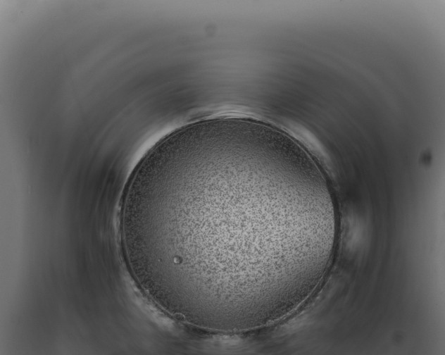 X0000089971190200707061154