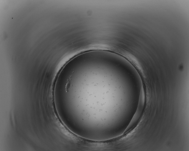 X0000089971192200707061154