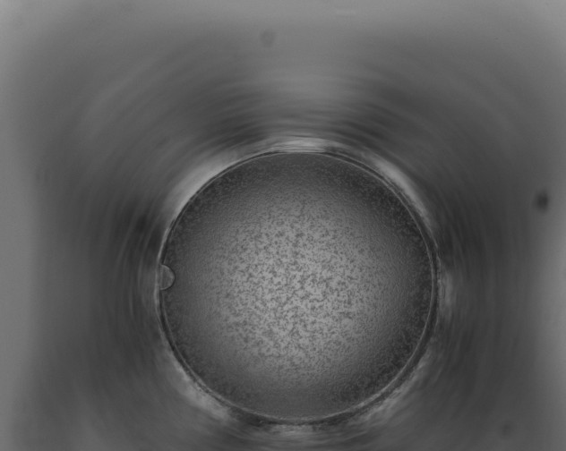 X0000089971194200707061154