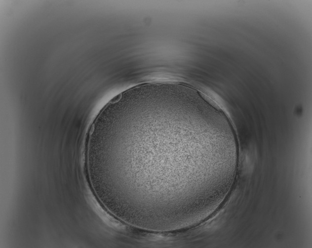 X0000089971195200707061154