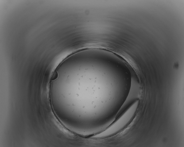 X0000089971196200707061154