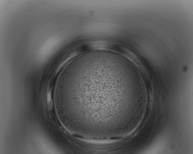 X0000089971198200707061154