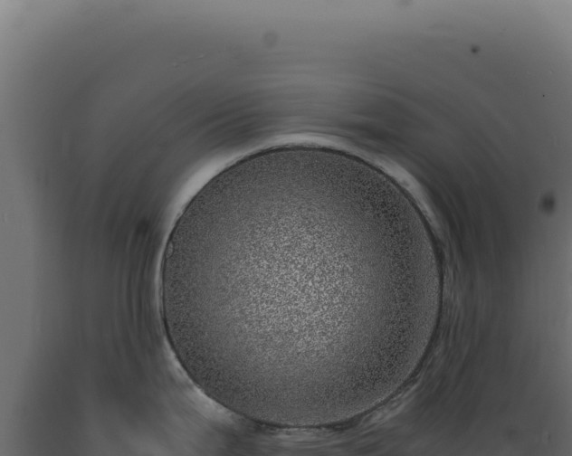 X0000089971199200707061154