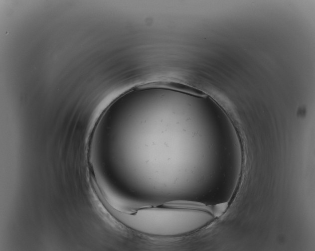X0000089971200200707061154