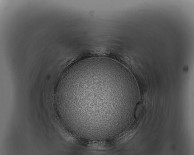 X0000089971201200707061154