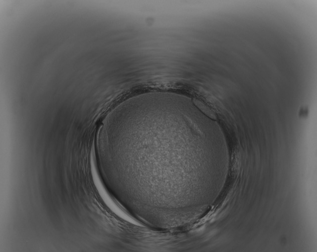 X0000089971202200707061154