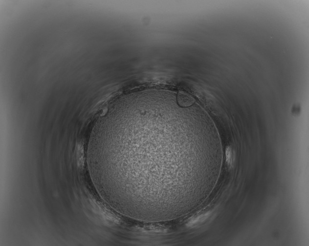 X0000089971203200707061154