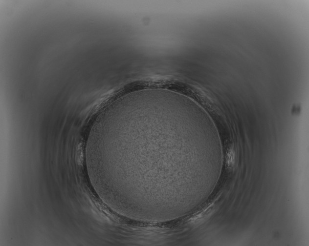 X0000089971204200707061154