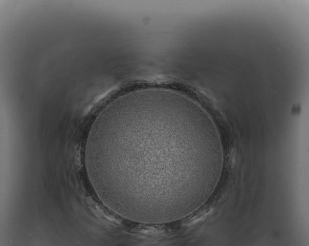 X0000089971205200707061154