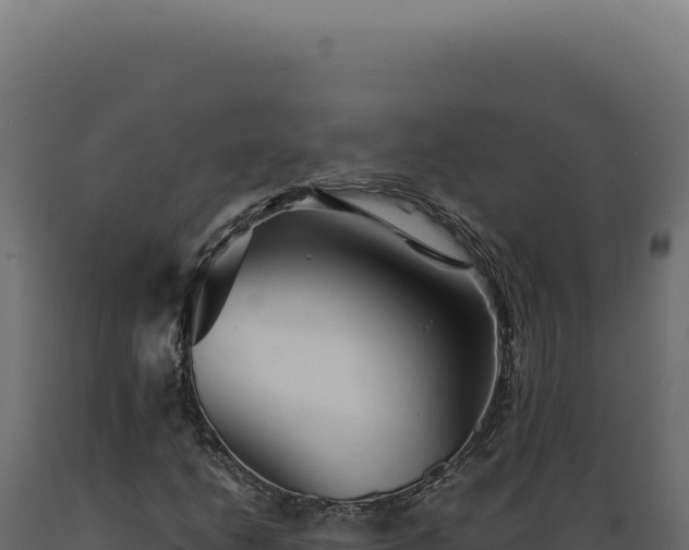 X0000089971206200707061154
