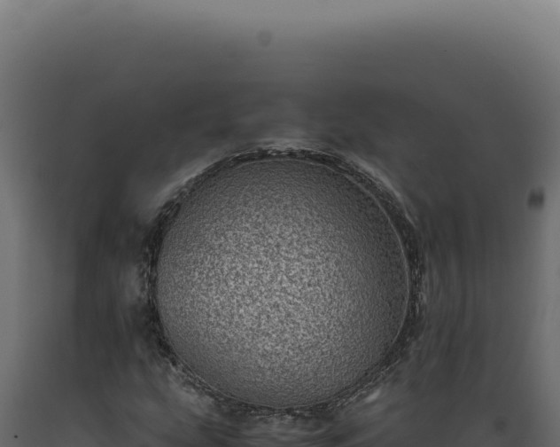 X0000089971207200707061154