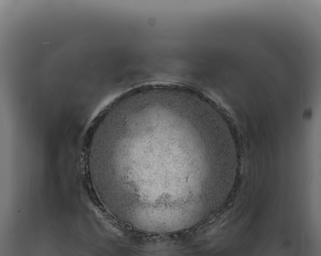X0000089971208200707061154