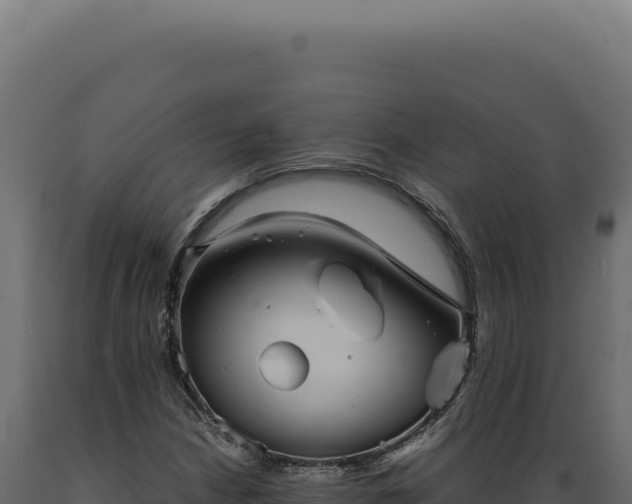 X0000089971210200707061154