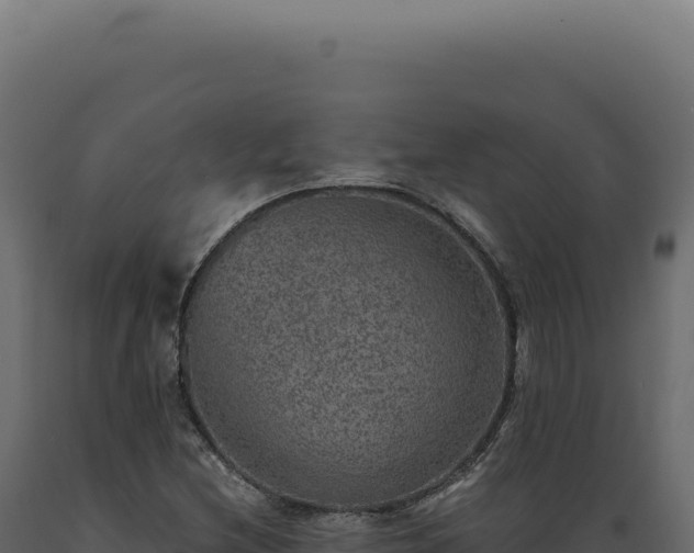 X0000089971212200707061154