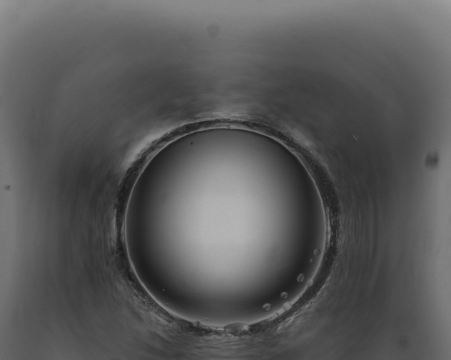 X0000089971214200707061154