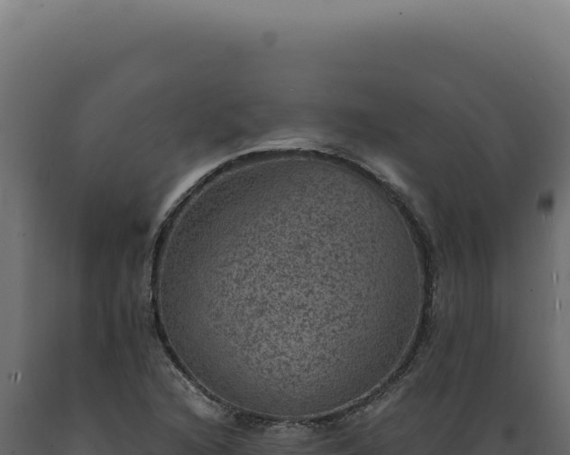 X0000089971216200707061154
