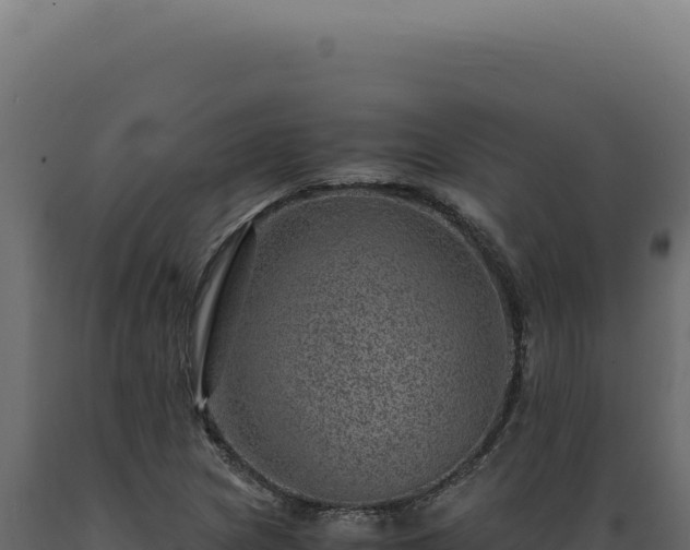 X0000089971217200707061154