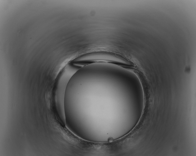 X0000089971218200707061154