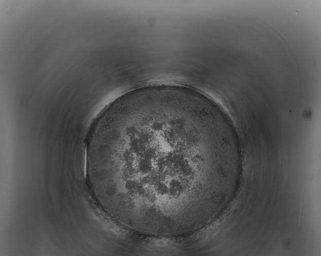 X0000089971219200707061154