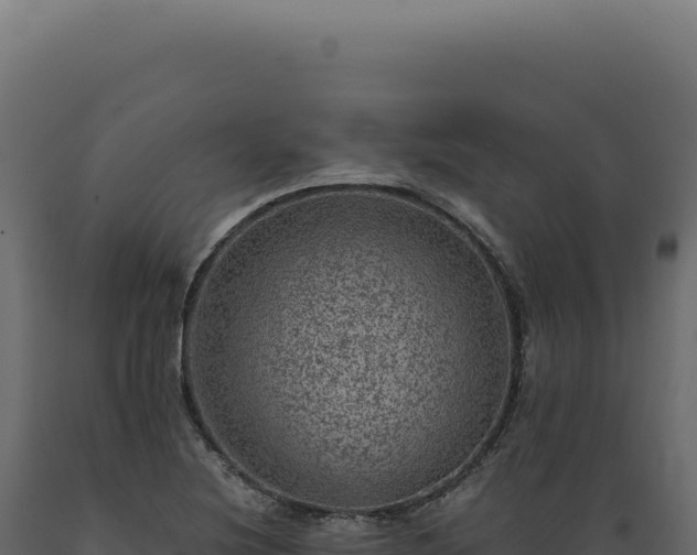 X0000089971220200707061154