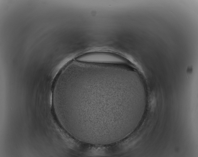 X0000089971221200707061154