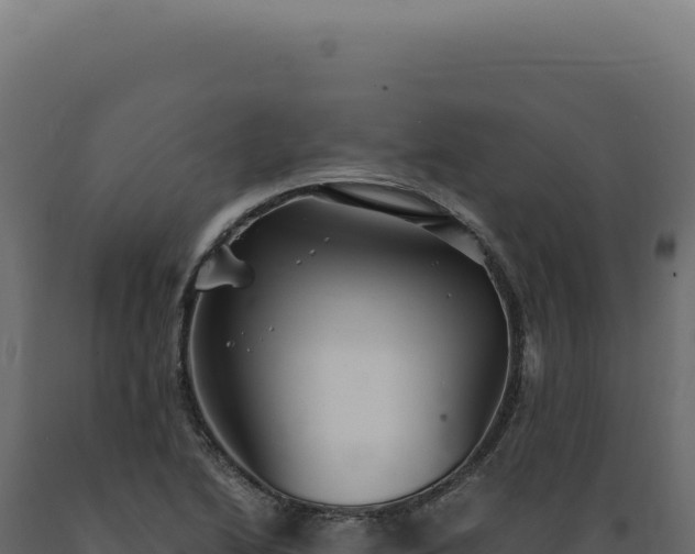 X0000089971222200707061154