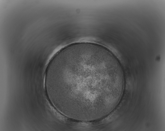 X0000089971224200707061154