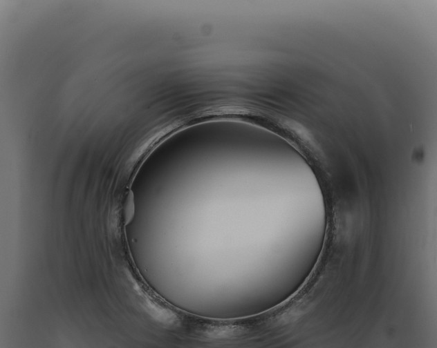 X0000089971225200707061154