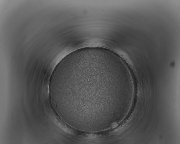 X0000089971226200707061154