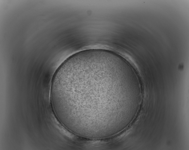X0000089971228200707061154