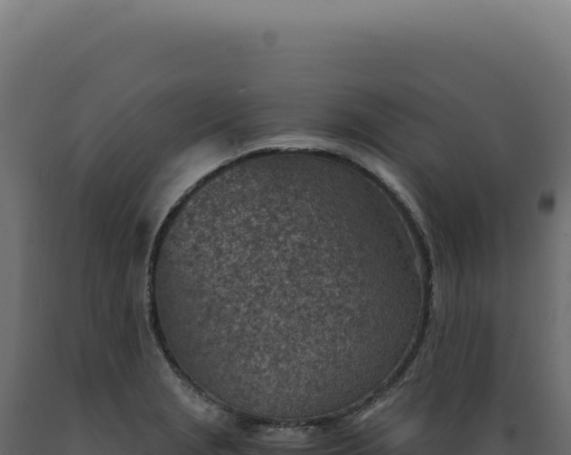 X0000089971229200707061154