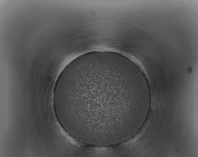 X0000089971231200707061154