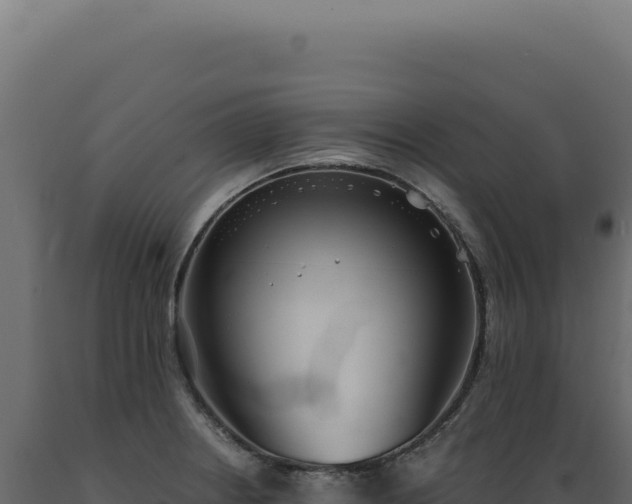 X0000089971234200707061154
