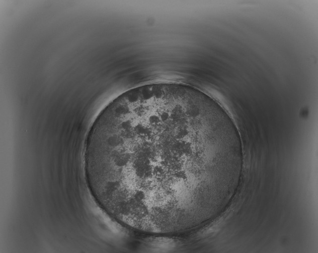 X0000089971235200707061154