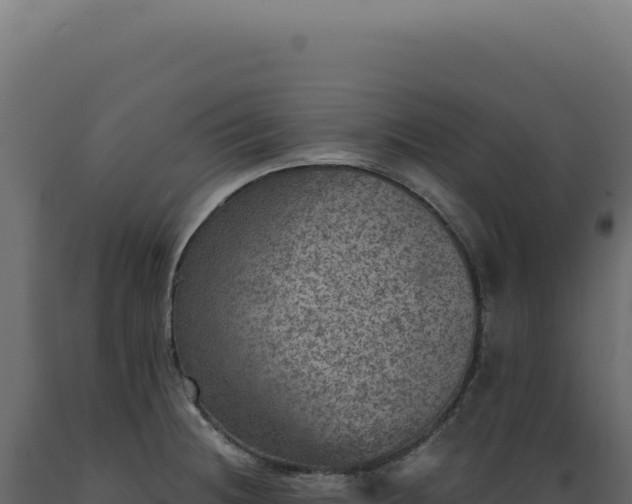 X0000089971236200707061154