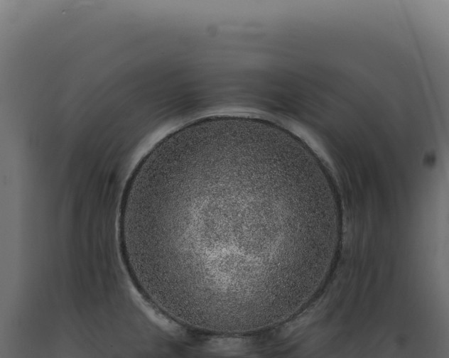 X0000089971237200707061154