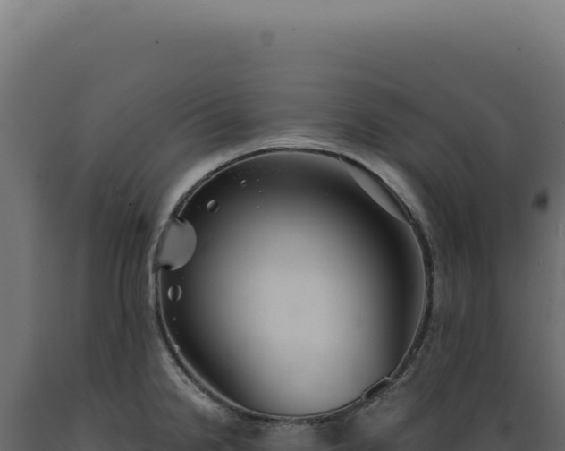 X0000089971238200707061154