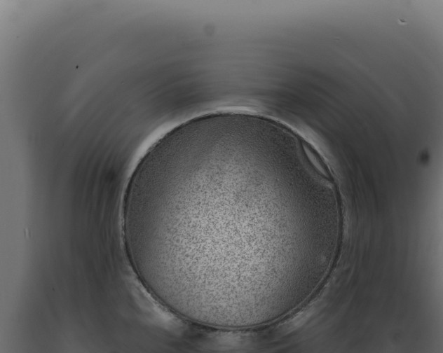 X0000089971240200707061154