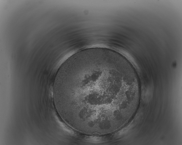 X0000089971241200707061154