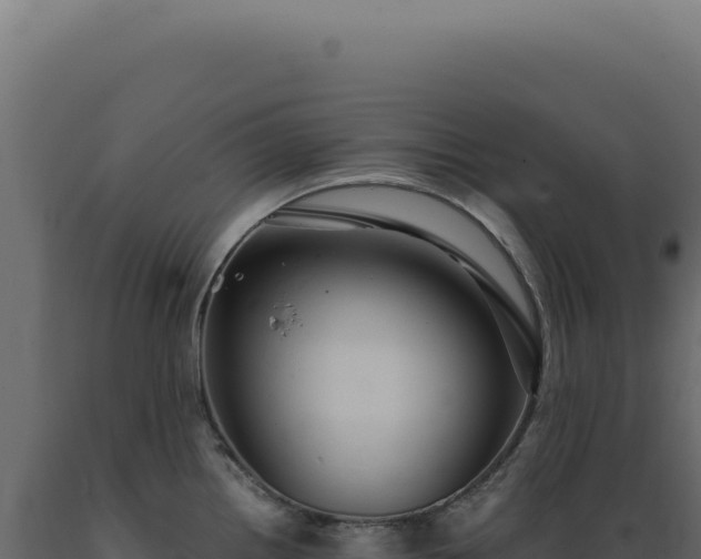 X0000089971242200707061154