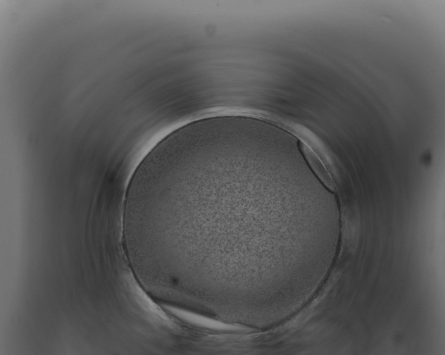 X0000089971244200707061154