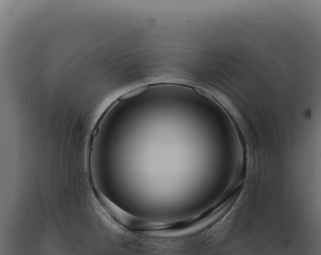 X0000089971246200707061154