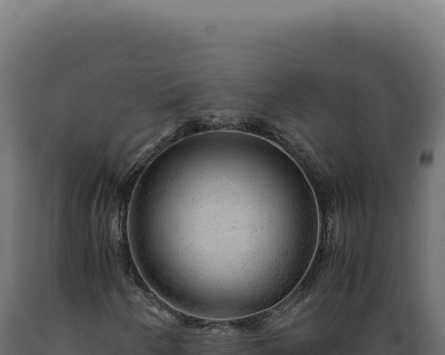 X0000089971250200707061154