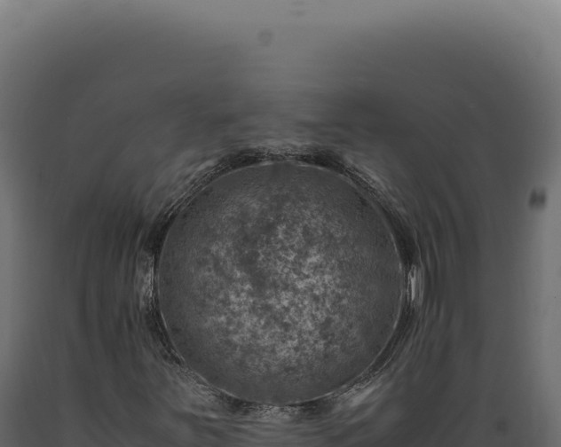 X0000089971251200707061154