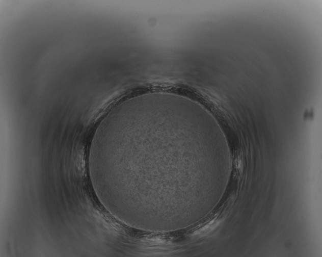 X0000089971252200707061153