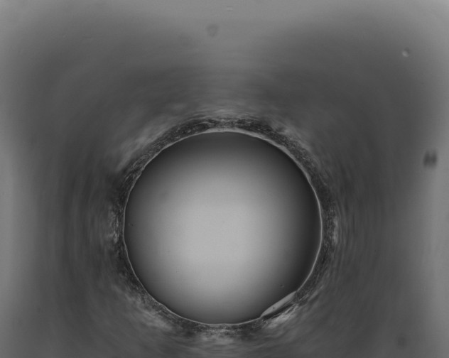 X0000089971253200707061153