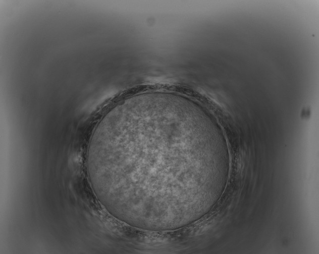 X0000089971254200707061153