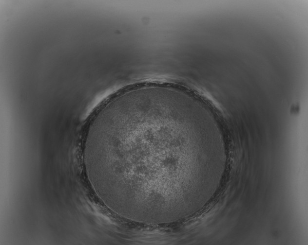 X0000089971256200707061153